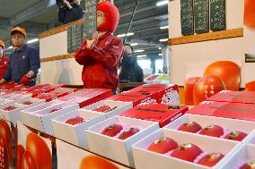 Miyazaki mangoes fetch 400,000 yen at year's 1st auction