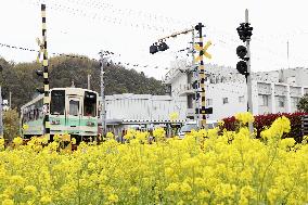 Local train in western Japan