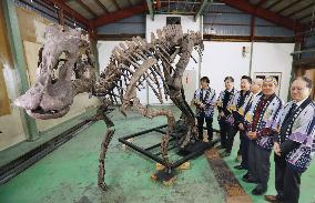 Replica of Japan's largest dinosaur fossil