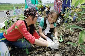 Residents in Miyagi plant trees on hill made of disaster debris
