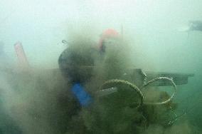 Divers clean seabed in tsunami-hit Ofunato