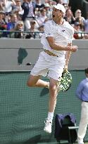 Sam Querrey knocks Novak Djokovic out of Wimbledon tennis