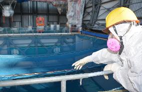 Fukushima Daiichi No. 3 reactor