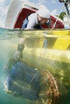 Divers clean sea in tsunami-hit Ofunato