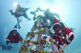 Divers enjoy Christmas in waters