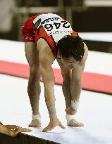 World gymnastics championships