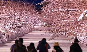 Snow "blossom" light-up