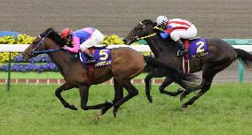 Horse racing: Meisho Samson wins Satsuki-sho