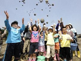 Tsunami survivors plant sunflower seeds