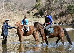 Efforts underway to preserve Japanese native Taishu horse