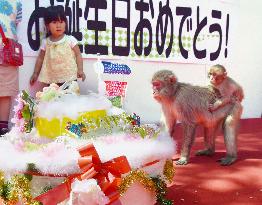 Monkey named after Princess Charlotte turns 1