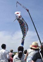 Jumbo carp streamer in Japan