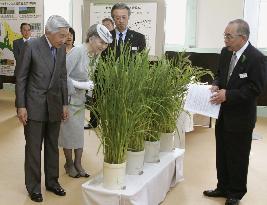 Emperor, empress briefed on rice growing