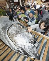 People pray for prosperity by sticking coins on tuna