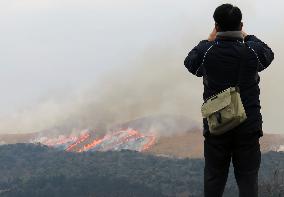 Fire at Japan's largest karst plateau