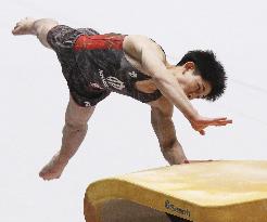 Gymnastics: Japan all-round title