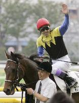 (2)Deep Impact outclasses field in Japanese Derby