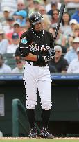 Marlins vs. Yankees in spring training game