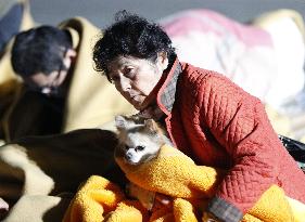 More quakes rock southwestern Japan