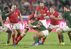 Rugby World Cup in Japan: Wales v South Africa