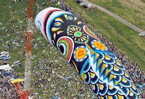 100-meter-long carp streamer