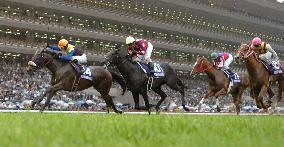 Pink Cameo takes NHK Mile Cup, largest payout for JRA