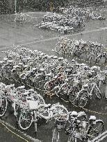 1st Nov. snowfall in 54 years as cold air grips Tokyo