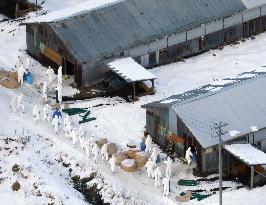 Highly pathogenic bird flu confirmed in Hokkaido