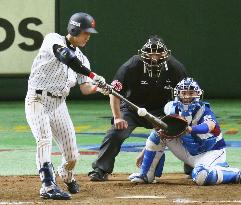 Asia Professional Baseball Championship