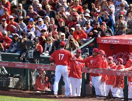 Baseball: Shohei Ohtani