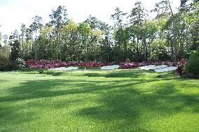 Augusta National Golf Club