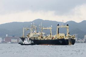 Japan resumes commercial whaling