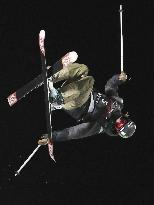 Freestyle skiing halfpipe World Cup