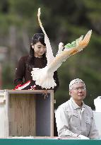 Princess Mako in Sado