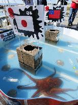 Octopuses "predicts" Japan rugby team's performance at World Cup