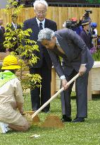 Emperor, empress attend national tree-planting event