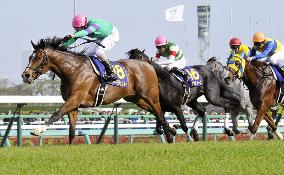 Horse racing: Dee Majesty wins Satsuki-sho race