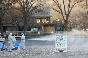 Swan tests positive for bird flu virus at Nagoya zoo