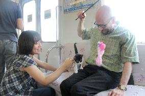 Cat cafe train in Japan