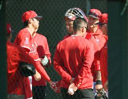 Baseball: Angels' Ohtani and Maldonado