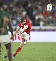 Rugby World Cup in Japan: Wales v South Africa