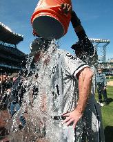 White Sox's Humber throws perfect game