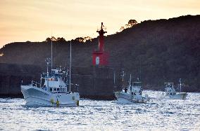 Dolphin, small whale hunts start