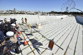 2020 Tokyo Olympics venue