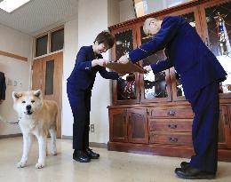 Dog, owner save old woman in Japan's Akita