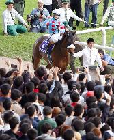 Horse racing: Almond Eye wins Tenno-sho