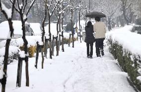 Heavy snow hits Pacific side of Honshu