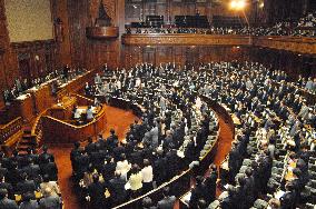 Lower house passes constitutional referendum bill