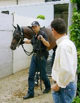 Deep Impact arrives in France for Prix de l'Arc de Triomphe