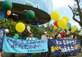 Baloons flown in Futenma protest